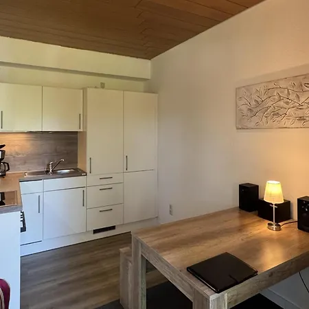 For 4 Guest Near Harz Mountains 公寓 *