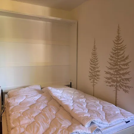 Appartamento For 4 Guest Near Harz Mountains Altenau (Lower-Saxony)