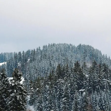 For 4 Guest Near Harz Mountains