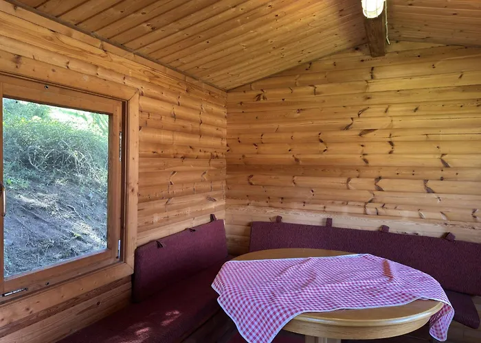 For 4 Guest Near Harz Mountains