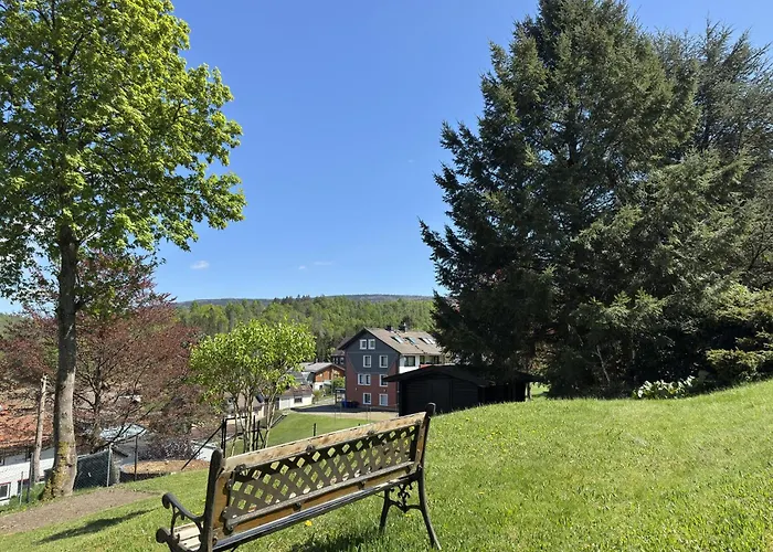 For 4 Guest Near Harz Mountains 公寓 阿尔特瑙