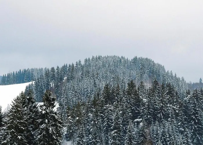 For 4 Guest Near Harz Mountains